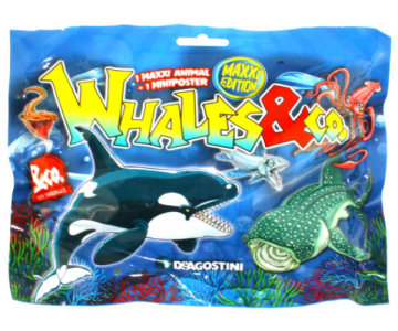 Whales & Co