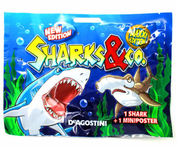 Sharks & Co 2