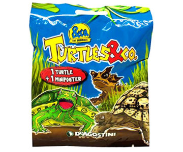 Turtles & Co