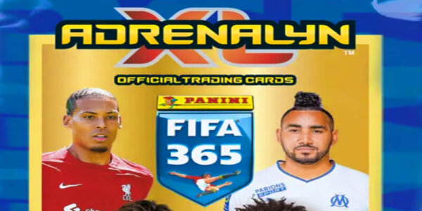Fifa 365 Karten