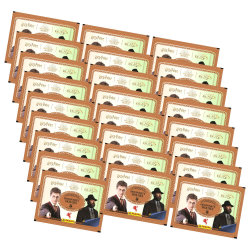 Panini Harry Potter Sticker Guide 2 - Häuser von...