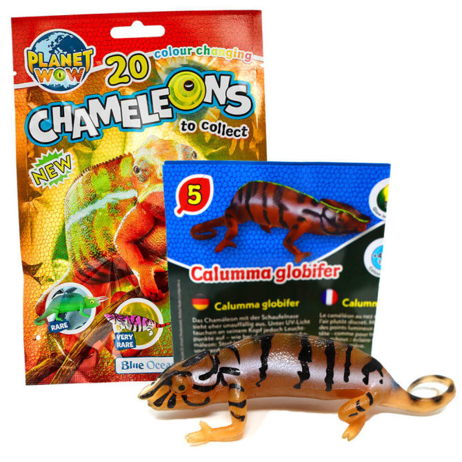 Blue Ocean Chamäleons Sammelfiguren 2024 - Planet Wow - Figur 5. Calumma Globifer