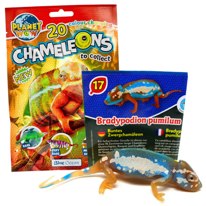 Blue Ocean Chamäleons Sammelfiguren 2024 - Planet Wow - Figur 17. Buntes Zwergchamäleon