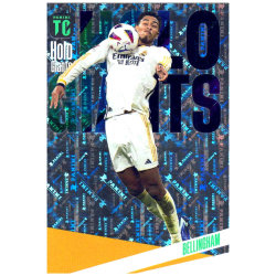 Panini Top Class Karten 2024 - Trading Cards - Holo...