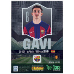 Panini Top Class Karten 2024 - Trading Cards - Holo...