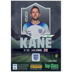 Panini Top Class Karten 2024 - Trading Cards - Holo...