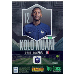 Panini Top Class Karten 2024 - Trading Cards - Holo...