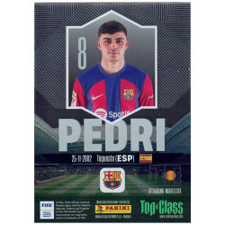 Panini Top Class Karten 2024 - Trading Cards - Holo...