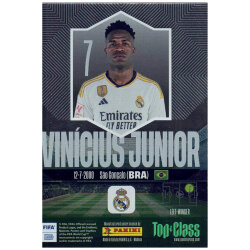 Panini Top Class Karten 2024 - Trading Cards - Holo...