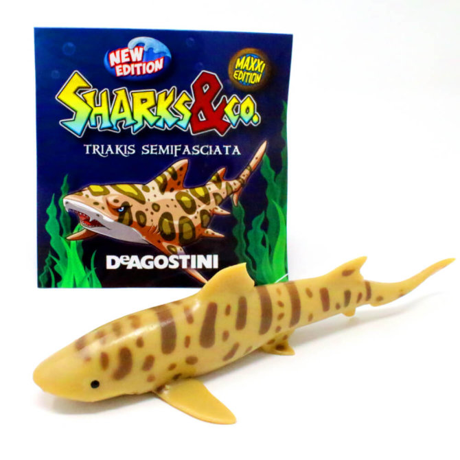DeAgostini Sharks & Co. Maxxi Serie 2 - Hai Sammelfigur - Figur 1. Leopardenhai