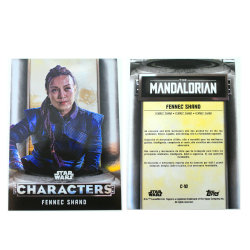 Star Wars The Mandalorian Trading Cards 2021 Karten...