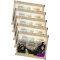 Panini Harry Potter Sticker Guide 3 - Schloss Hogwarts Sammelsticker (2025) - 5 Tüten