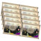 Panini Harry Potter Sticker Guide 3 - Schloss Hogwarts Sammelsticker (2025) - 10 Tüten