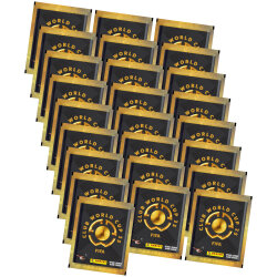Panini Fifa Club World Cup 2025 Sticker - WM...
