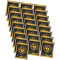 Panini Fifa Club World Cup 2025 Sticker - WM Sammelsticker - 25 Tüten