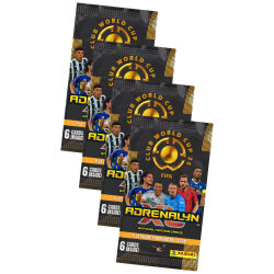 Fifa Club World Cup 2025 - WM Trading Cards Sammelkarten...