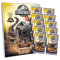 Jurassic World Karten - ROAR! Trading Cards Sammelkarten - 1 Mappe + 10 Booster