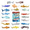 Blue Ocean Sharks Sammelfiguren 2026 - Planet Wow Hai Figur - Alle 20 Figuren