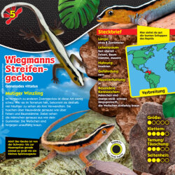 Blue Ocean Geckos Sammelfiguren 2023 - Planet Wow - Figur...