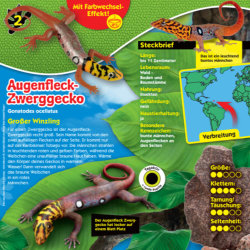 Blue Ocean Geckos Sammelfiguren 2023 - Planet Wow Farbwechsel - Figur 2. Augenfleck-Zwerggecko