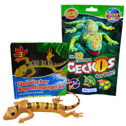 Blue Ocean Geckos Sammelfiguren 2023 - Planet Wow - Figur 3. Malaiischer Bogenfingergecko