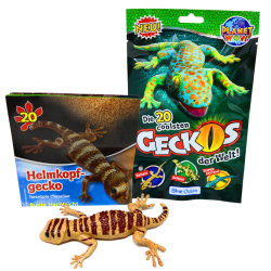 Blue Ocean Geckos Sammelfiguren 2023 - Planet Wow - Figur...