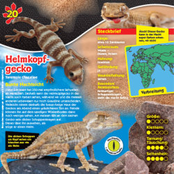 Blue Ocean Geckos Sammelfiguren 2023 - Planet Wow - Figur 20. Helmkopfgecko