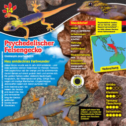 Blue Ocean Geckos Sammelfiguren 2023 - Planet Wow - Figur...