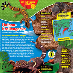 Blue Ocean Geckos Sammelfiguren 2023 - Planet Wow...