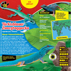 Blue Ocean Geckos Sammelfiguren 2023 - Planet Wow...