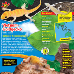 Blue Ocean Geckos Sammelfiguren 2023 - Planet Wow - Figur 19. Vietnam-Goldgecko