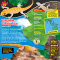 Blue Ocean Geckos Sammelfiguren 2023 - Planet Wow - Figur 19. Vietnam-Goldgecko