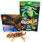 Blue Ocean Geckos Sammelfiguren 2023 - Planet Wow - Figur 20. Helmkopfgecko