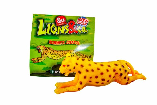 Lions & Co. Maxxi Edition - Wähle aus Allen 16 Figuren (Acinonyx Jubatus)