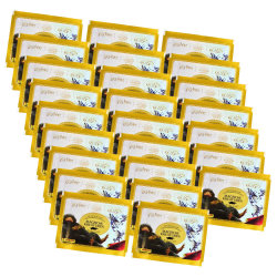 Panini Harry Potter Sticker - Magische Kreaturen (2023) -...