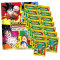Panini Dragon Ball Universal Sticker - Sammelsticker (2024) - 1 Album + 15 Tüten